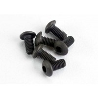 VIS Tête Ronde 3x6 mm (6)