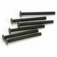 Vis BTR tête ronde 3X30mm (6)