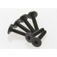 Vis BTR 3x15mm tête plate (6)