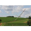 Multiplex Lentus RR SUR-COMMANDE