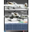 1/48e Academy IL-2 Stormovik + skis