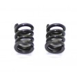 2-speed spring (2) SERPENT 802403