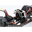 BlackBull BULL SCALER 4WD 1/10e Prête à rouler