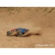 Lrp S10 BLAST 2 TX 2.4GHZ RTR