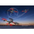 Drone XK Innovation ALIEN X250 RTF kit + 5,8gz FPV 720P