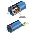 Traxxas E-Revo VXL 1/16e Bleu + Accu/Chargeur USB SUR-COMMANDE