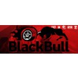 BlackBull MONSTER Brushless VERT 4WD 1/10e Prête à rouler