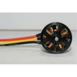 Moteur brushless Robbe Ro-Power Torque 2858 1350Kv