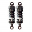 Amortisseurs complet avant GT10DT