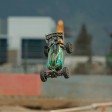 Arrma Buggy TYPHON 223S Brushless DSC 4X4 RTR 1/8e Vert