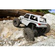 Axial Wraith Spawn 1/10 4WD RTR