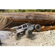 Axial Wraith Spawn 1/10 4WD RTR