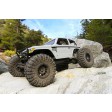 Axial Wraith Spawn 1/10 4WD RTR