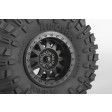 Axial Wraith Spawn 1/10 4WD RTR