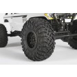 Axial Wraith Spawn 1/10 4WD RTR