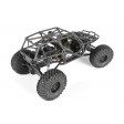 Axial Wraith Spawn 1/10 4WD RTR