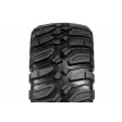Axial SCX10 Crawler scale Dingo 1/10e 4WD kit AX90021