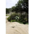 Axial Terra Buggy EXO 1/10e 4WD BRUSHLESS RTR