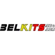 1/24 BELKITS Ford Fiesta RS WRC 2017