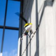 Blade 120 S2 SAFE Prêt à voler