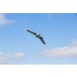 Blade FPV Manta BNF-Basic