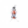 Blade Fusion 180 Smart BNF-Basic SUR-COMMANDE