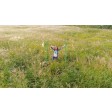 Dji PHANTOM 4 ADVANCED+ - Prêt à voler