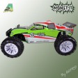 Pro-racer Monst'it 4x4 brushless lipo RTR