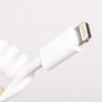 Câble torsadé RC (Connecteur Apple Lightning) pour radio DJI