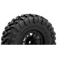 Traxxas TRX-4 Land Rover Defender 4WD Clipless 1/10e Sable SUR-COMMANDE
