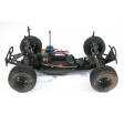 Carisma Volkswagen Cox Beetle M10DT RTR 1/10