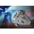 1/164e Revell Star Wars Build & Play Millennium Falcon