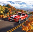 1/25e Revell 2010 Ford Shelby GT 500