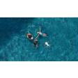 Dji Mini SE