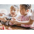 Dji Mini SE Fly More Combo