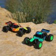 ECX Micro Roost 2WD Buggy RTR 1/28 Verte
