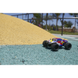 ECX Ruckus 1/24 4WD Monster Truck Bleu/Blanc