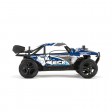ECX Roost 1/24 4WD Desert Buggy RTR Bleu