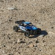 ECX Roost 1/24 4WD Desert Buggy RTR Bleu