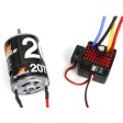 ECX Ruckus MT Brushed RTR 2WD Noir/Bleu 1/10