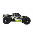 ECX AMP MT 1/10 2WD Monster Truck RTR 1/10