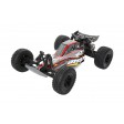 ECX AMP 1/10 2WD Desert Buggy RTR Noir 1/10