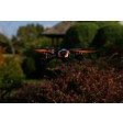 Blade 180 QX HD BNF