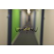 E-flite Quad-copter BLADE Nano QX Radio Mode 2
