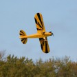 E-Flite Clipped Wing Cub 1.2m AS3X-SAFE BNF-Basic