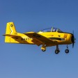 E-Flite Carbon-Z T-28 Trojan 2.0m PNP SUR-COMMANDE