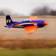 E-flite Rare Bear PNP