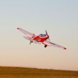 E-flite Commander mPd 1.4M PNP