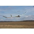 E-flite Radian XL 2,6m BNF-Basic