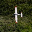 E-flite ICON A5 BNF-Basic